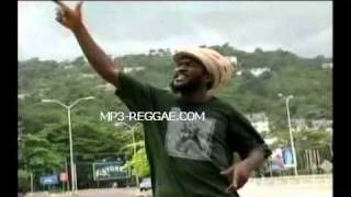 Chezidek   Leave The Trees Reggae Video  new songs dancehall ska roots