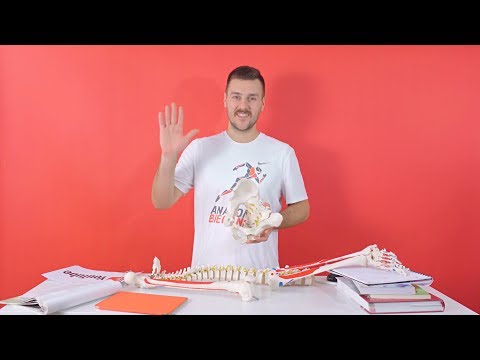 Szczotka tenor mięśni Sport, który wzmacnia mięśnie