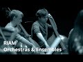 Wagner: Siegfried Idyll - Gerhard Markson/RIAM Philharmonia
