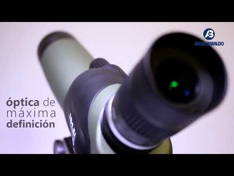 Shilba Modelo Grand Slam