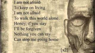My Chemical Romance - Famous Last Words (lyrics)