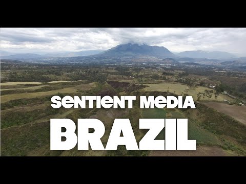 Animal Farming & the Jungle: Reporting from Brazil