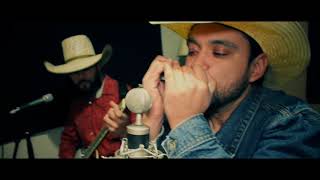 Dust in then Wind (Alamo Country Band cover))