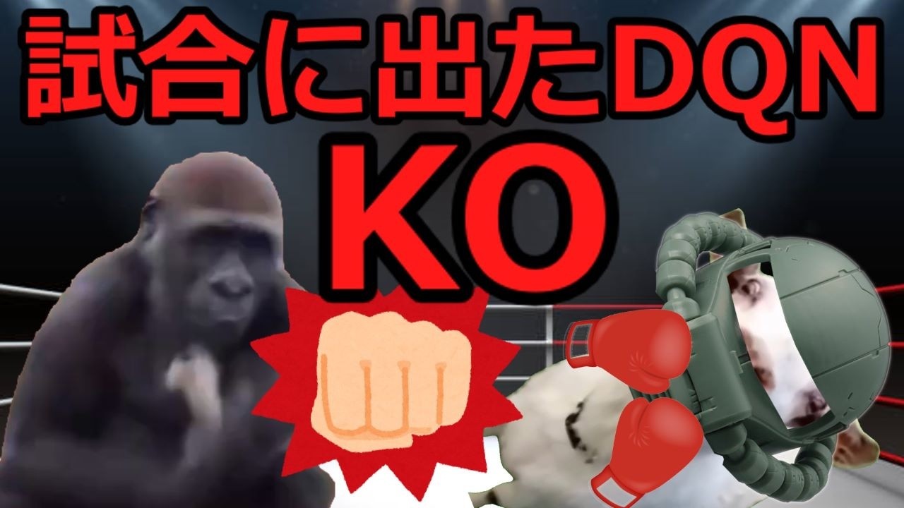 【猫ミーム】DQN♯2格闘技の試合に出たDQN！！