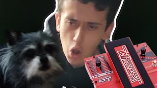 Video thumbnail for I GOT A NEW PEDAL | DigiTech Whammy DT Unboxing/Test Run by wavvelengths