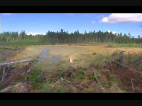 the collective seasons darren berrecloth.