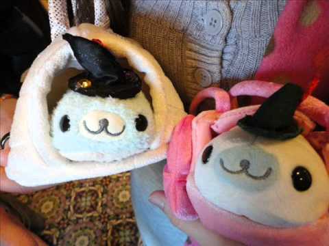 Kupuu!! Mamegoma! Jitensha ni Notte mao
