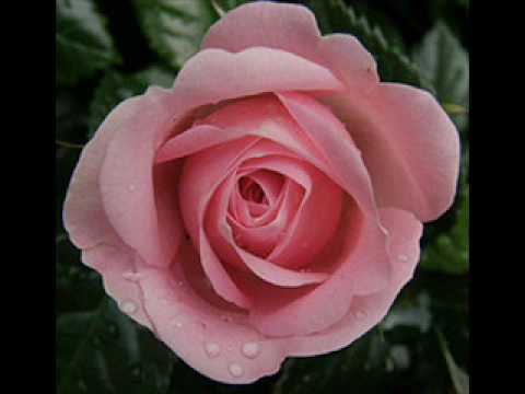 Martini Edit Istenem benned bízom én