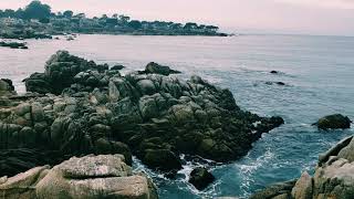 Grupo La Ley - Surazul