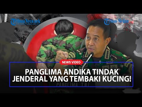 PANGLIMA Andika Perintahkan Usut Kasus Jenderal yang Tembaki Kucing di Sesko TNI
