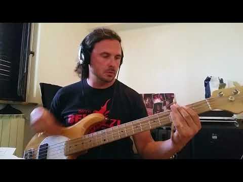 Bee Hive - BABY I LOVE YOU -  Bass Cover