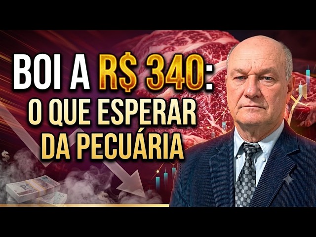 Boi a R$ 340: O que esperar da pecuária.