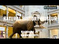 🌏Take You to Smithsonian Natural History Museum | 4K Tour | Washington DC