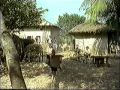 LWT Adverts 1995 6