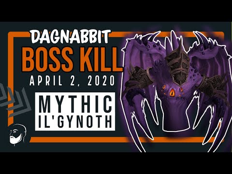 Mythic Il'gynoth • BM Hunter PoV • Ny'alotha