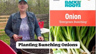 ShedWars Global Gardening 22G | How To Plant Bunching Onions In Containers