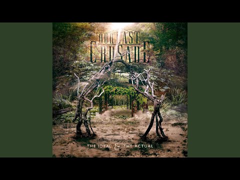 Don't Let Your Dreams Die