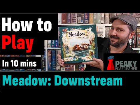How to play Meadow: Downstream board game - Full teach + Visuals - Peaky Boardgamer