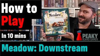 How to play Meadow: Downstream board game - Full teach + Visuals - Peaky Boardgamer