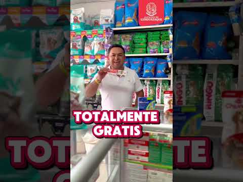 🐶🐱💉 CUIDAR A NUESTRAS MASCOTAS ES MÁS QUE ALIMENTARLAS
