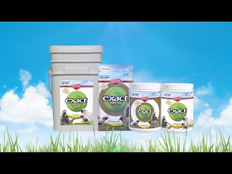 Kaytee's Exact Hand Feeding Formula