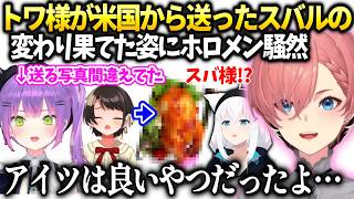 ルイ姉トワ様からスバルの写真が送られてきたけどトワ様タイミングを間違ってしまい…【鷹嶺ルイ/ホロライブ】