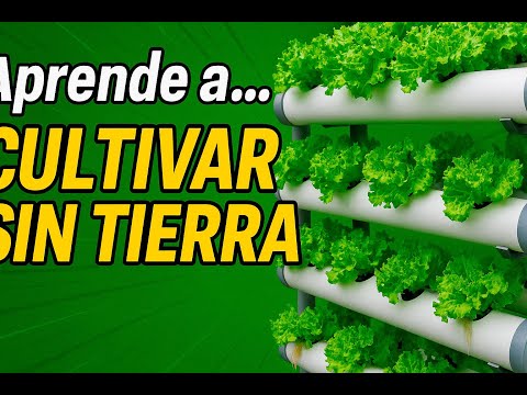 Quiero aprender a... Cultivar_sin_tierra