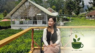 Download lagu Pepeteka Cafe☕️🧈🌿 Cafe Estetik di tengah hamparan kebun teh yang viral banget!! mp3 Download lagu Pepeteka Cafe☕️🧈🌿 Cafe Estetik di tengah hamparan kebun teh yang viral banget!! mp3
