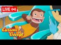 LIVE Curious George Episodes George Learns To Brush His Teeth More