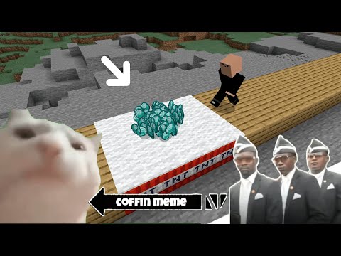 Faviso - Coffin Meme Traps but Cat is Vibing - Minecraft