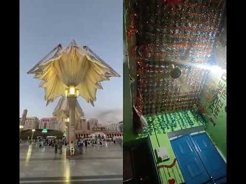 tanveer faridi ♥️ #madinekibaatein #travel