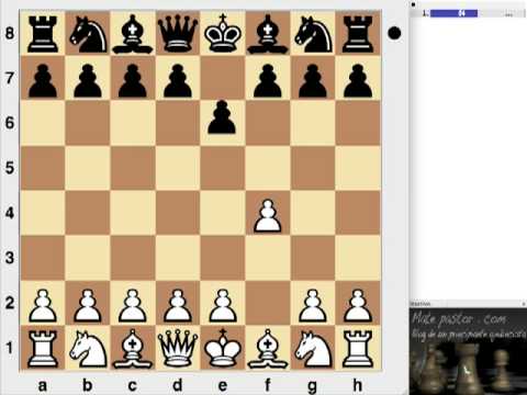 download lagu mp3 mp4 Mate Del Loco, download lagu Mate Del Loco gratis, unduh video klip Mate Del Loco