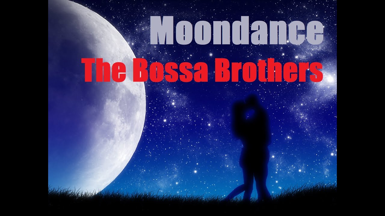 Promotional video thumbnail 3 for The Bossa Brothers Trio