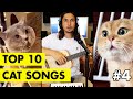 Top 10 Cat Songs by The Kiffness