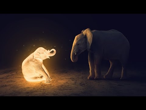 Neon Glow Effect Portrait Photoshop Tutorial