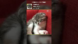 ジャーキング症状(ビクッてなるやつ)