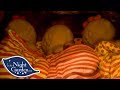 In The Night Garden Nap Time For The Tombliboos Full Episode