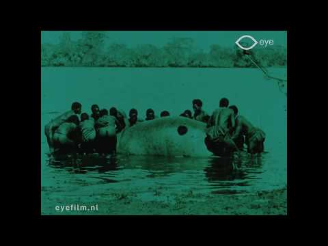 Binnenland van Afrika