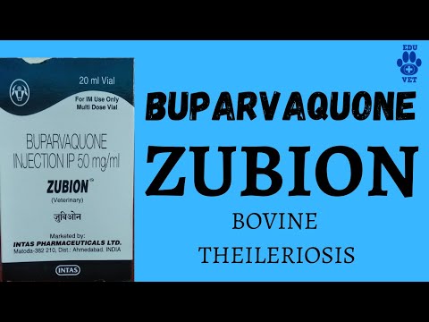 Zubion Veterinary Injection