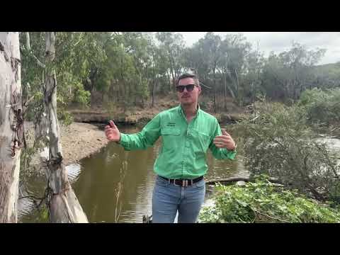 1213 Mole River Road, Tenterfield, NSW 2372, 0 Schlafzimmer, 0 Badezimmer, Lifestyle Property