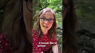 Pourquoi méditer la Bible en famille ?