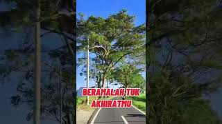 Download lagu K, BEKERJALAH  UNTUK DUNIAMU , SEAKAN  KAU HIDUP  SELALMANYA#qosidah  Nasida ria mp3 Download lagu K, BEKERJALAH  UNTUK DUNIAMU , SEAKAN  KAU HIDUP  SELALMANYA#qosidah  Nasida ria mp3