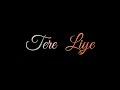 Tere Liye Veer Zaara Roop K Rathod Lata M Lyrical Status Song