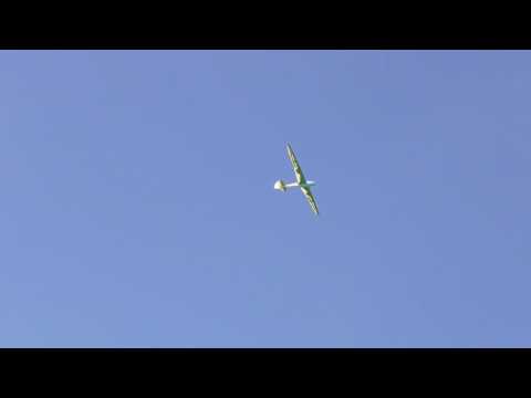 PWS 101 Old Gliders 5m Spannweite