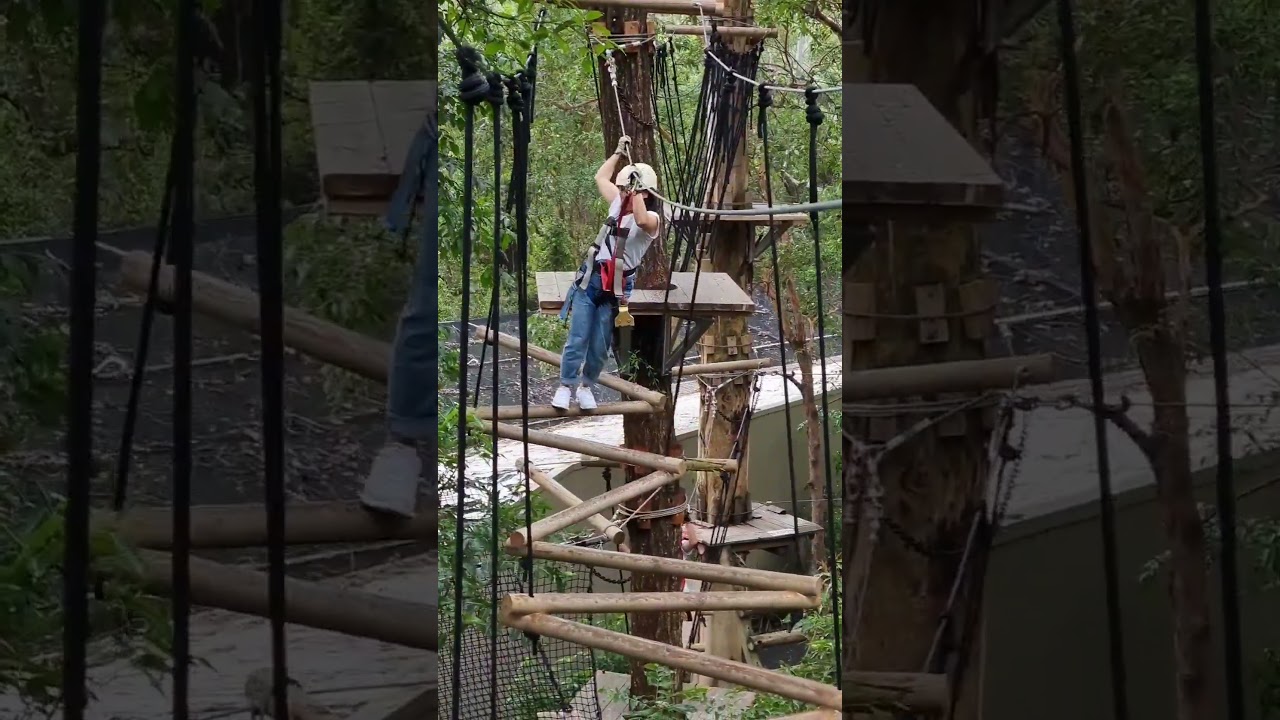 YouTube Short thumbnail