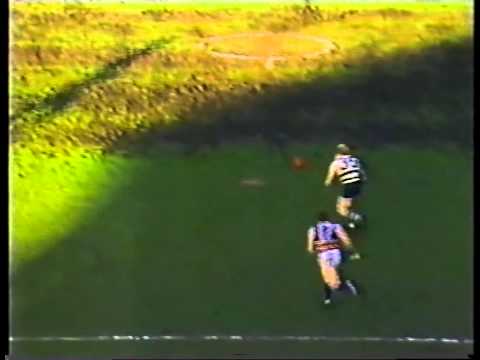 FNWB.com.au - 1985: Round 14, Geelong Vs Footscray