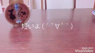 【リクエスト募集中】スクイーズ雑談🌈