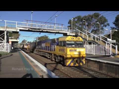 NR98, NR63 & 8202 (PN Livery) - 21st August 2016
