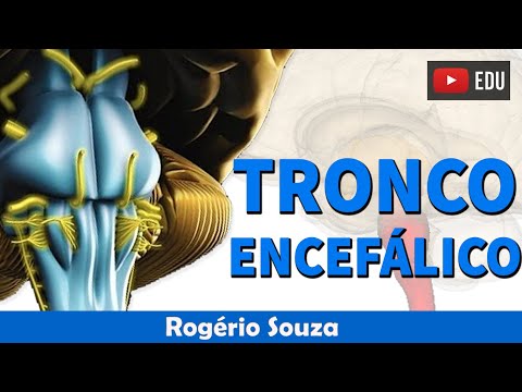 BRAIN STEM (Full Class) - Rogério Souza