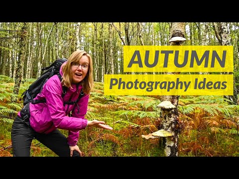 10 Autumn Photography Ideas You Should Try This Season 🍂